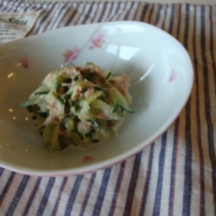 おつまみに 胡瓜とシーチキンの梅肉マヨネーズ和え レシピ 作り方 By さっち917 楽天レシピ おつまみに 胡瓜とシーチキンの梅肉マヨネーズ和え レシピ 作り方 By さっち917 楽天レシピ